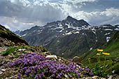 Alpe Devero - salita all'Alpe Forno Inferiore 